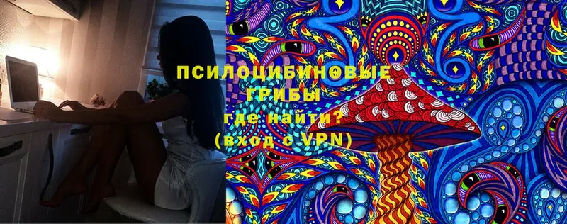 купить закладку  Муром  Галлюциногенные грибы Cubensis 